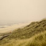 A dune and the sea in a light mist