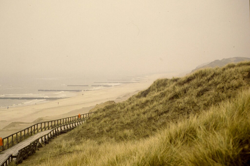 A dune and the sea in a light mist